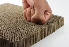 HOneycomb cardboard.jpg