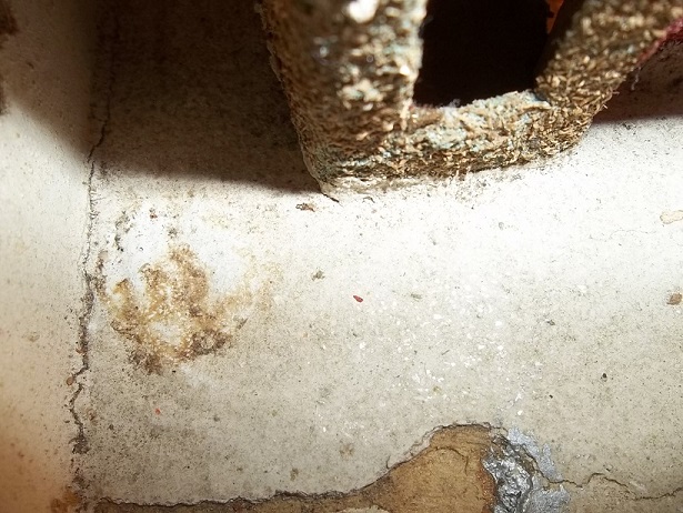 Toasty Odd ball house 010.JPG