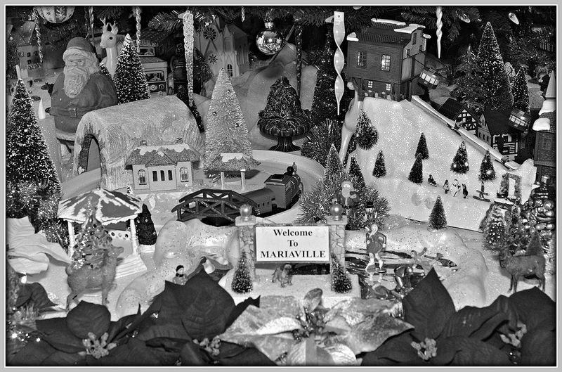 marias_tree_putz_bw.jpg