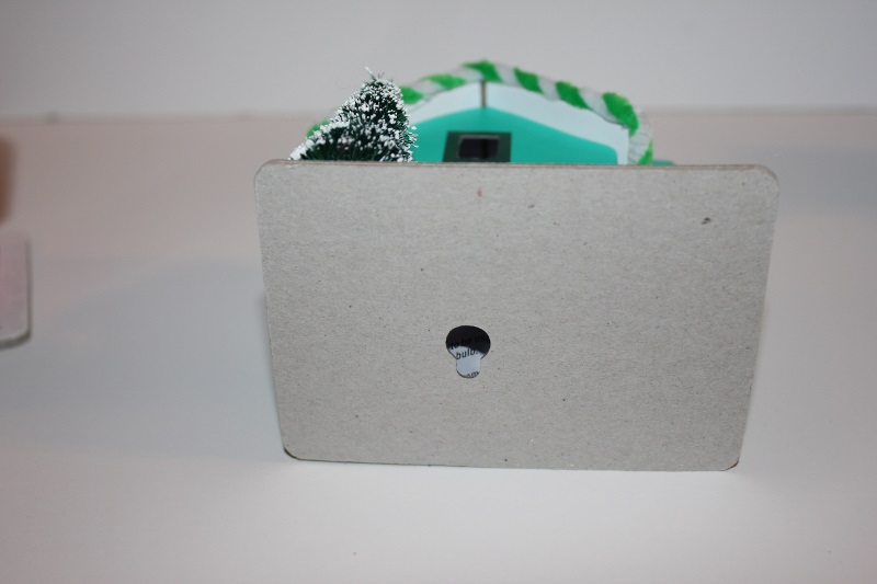 IMG_2454 (800x533).jpg