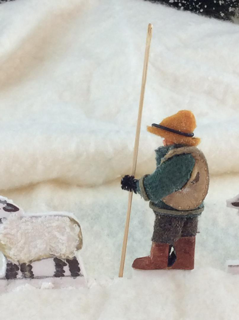 Shepherd close up resized.jpg