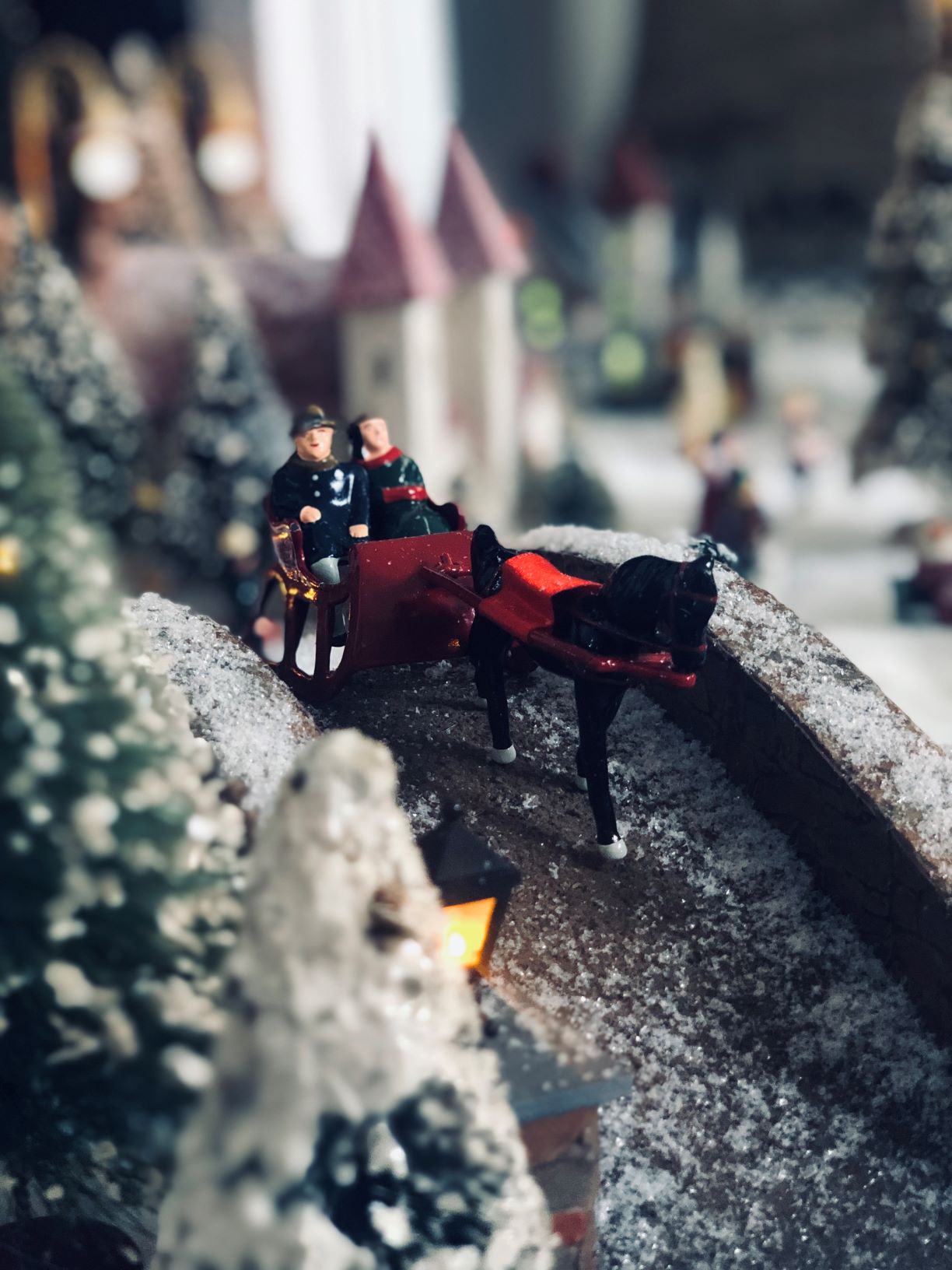 putz 2018 9 resized.jpg