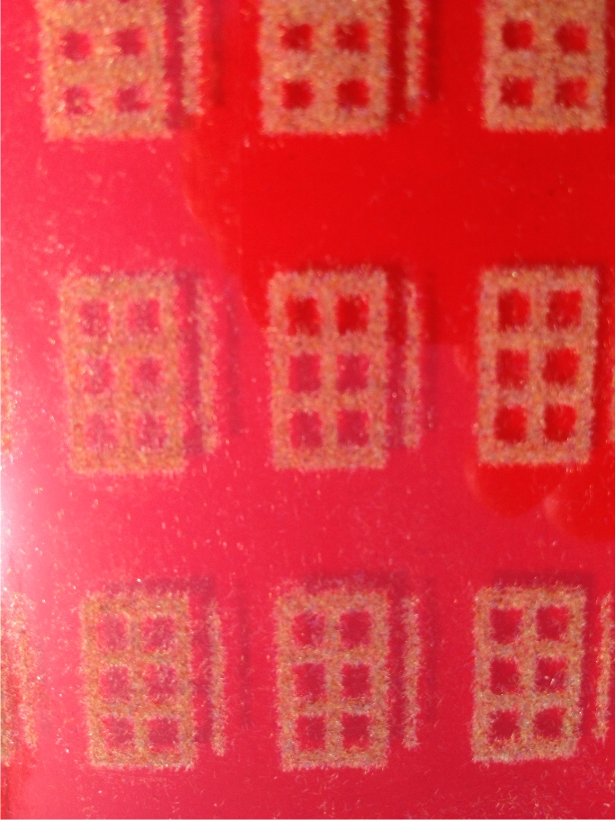 Test 2 Rayon Flocking.jpg