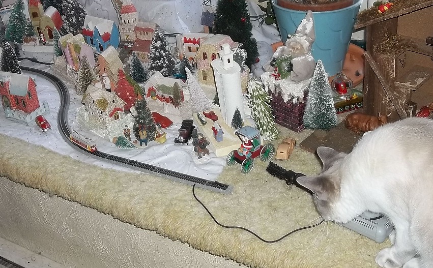 EBAY JAN 6 + Cats Train HOUSES 095.JPG