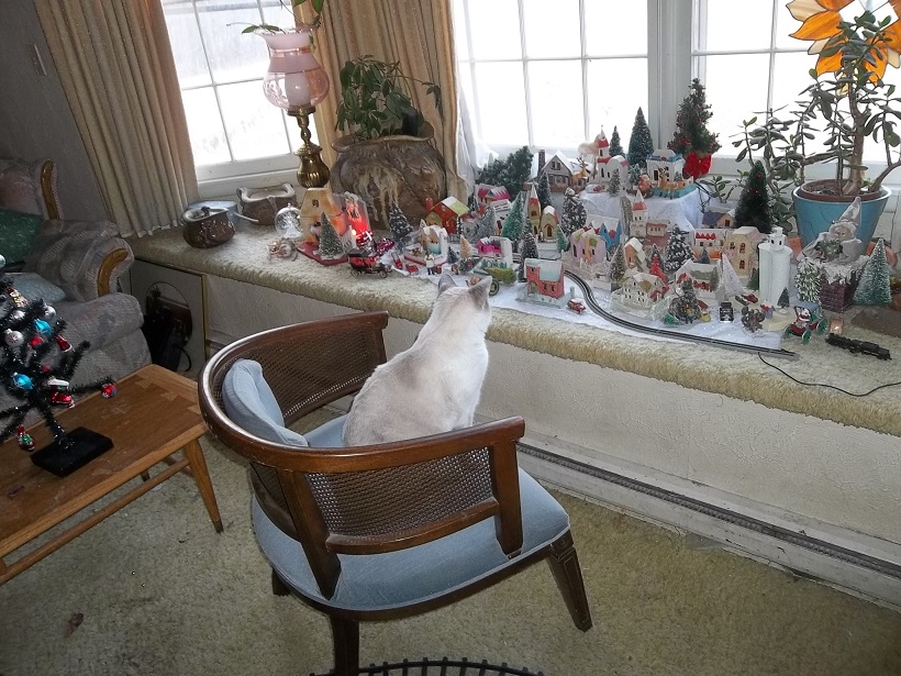 EBAY JAN 6 + Cats Train HOUSES 090.JPG