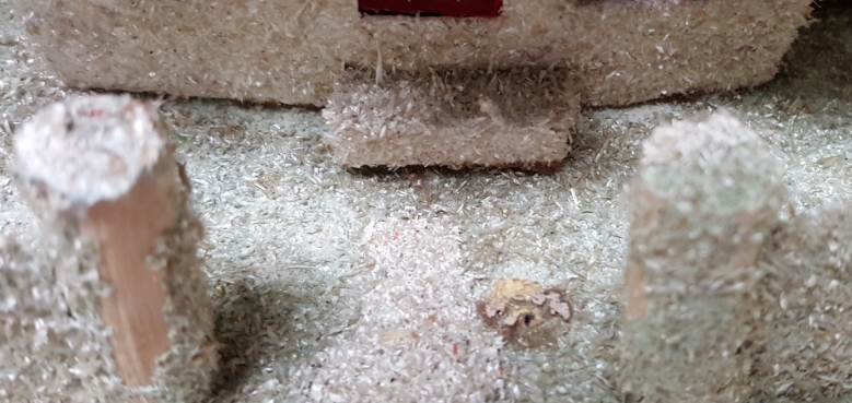 purple putz resto3 (resized).jpg