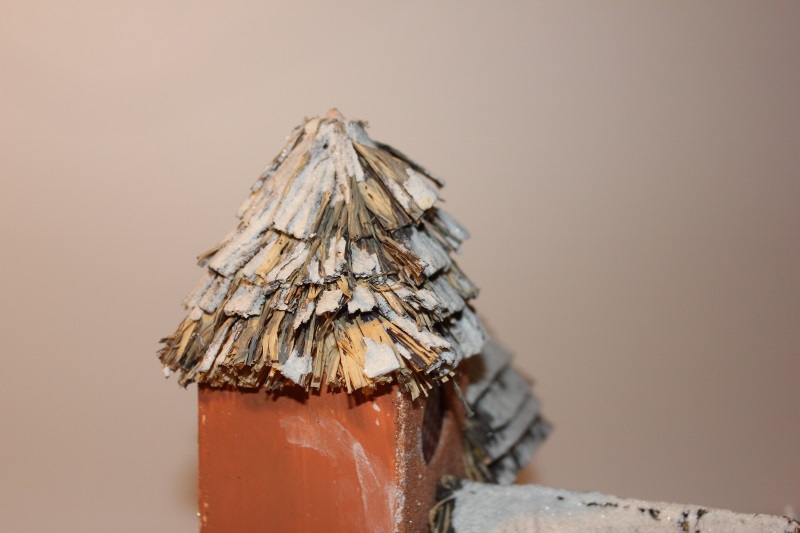 IMG_2438 (800x533).jpg