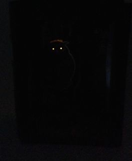 Owl eyes in the dark.jpg