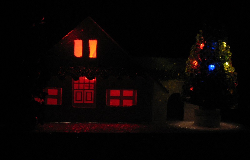twinkle house light 800.jpg
