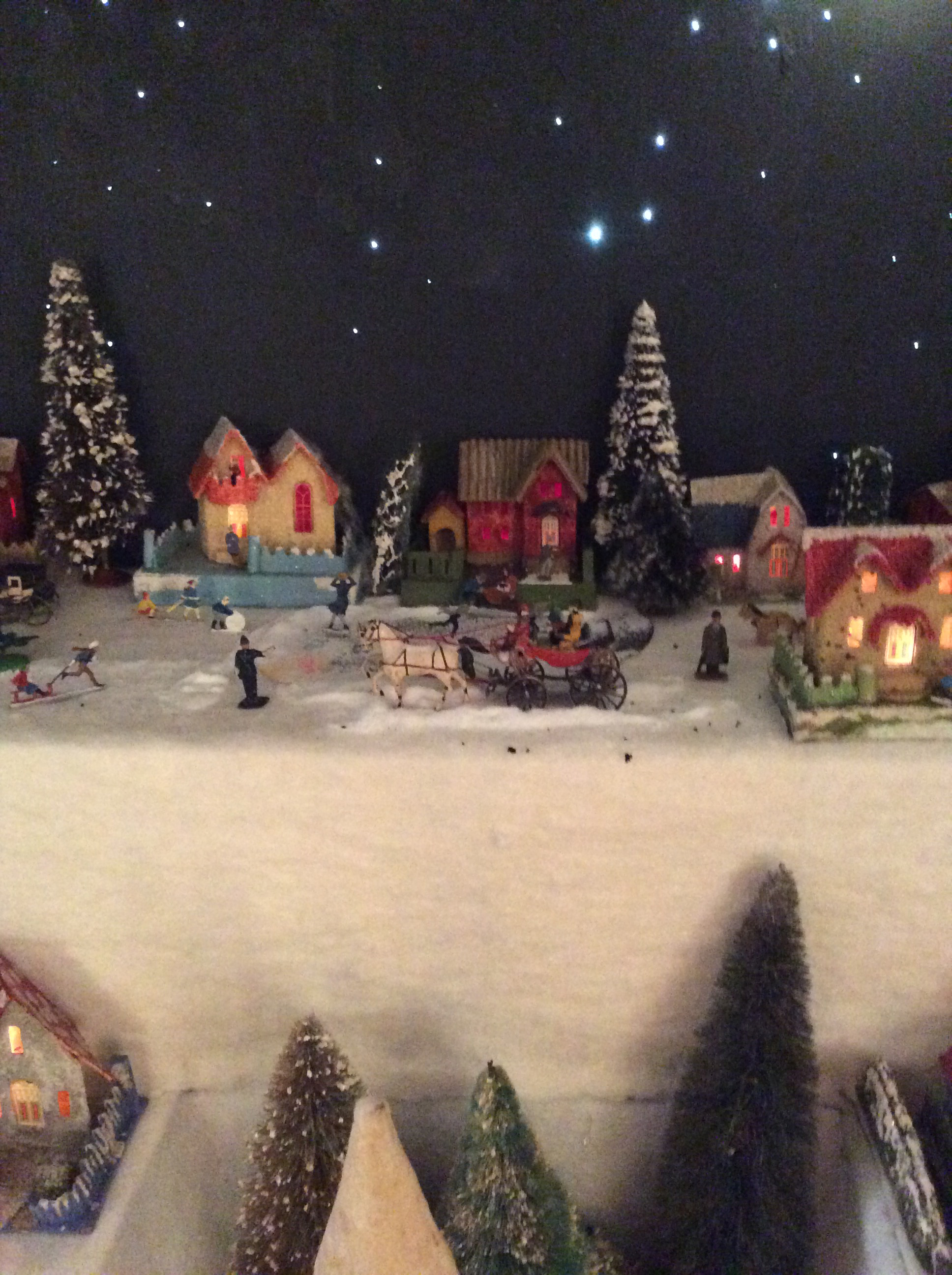 IMG_3355 C U 2  resized.jpg