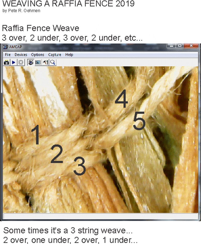 Raffia Weave B.JPG