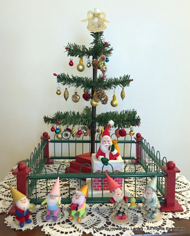 feather tree wuth fence.JPG