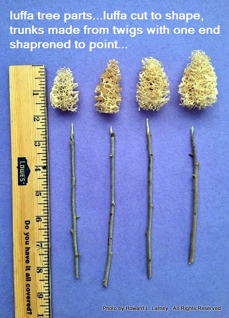 luffa tree parts.jpg