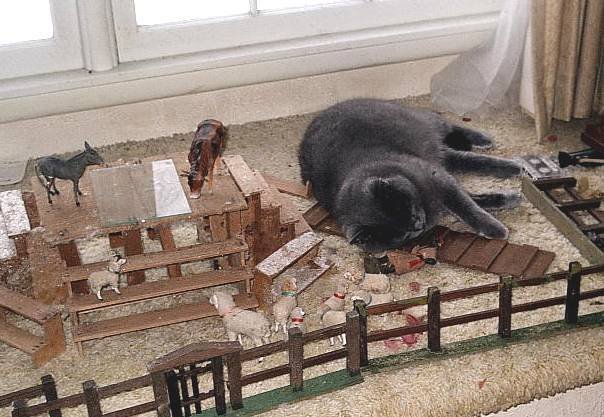 Sleeping cat on Christmas village houses putz 
display foundation remnants