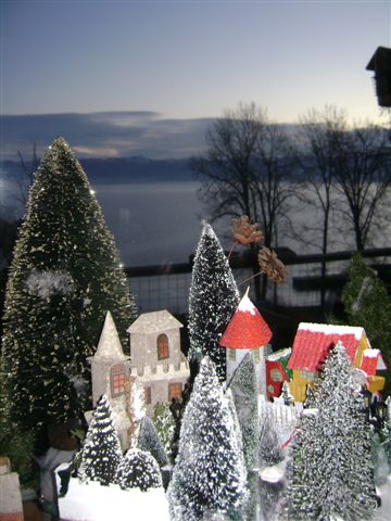 Christmas house display